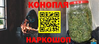 спиды Гагарин