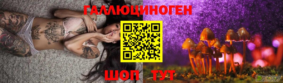 Псилоцибиновые грибы прущие грибы  Вход с VPN  Новомосковск 